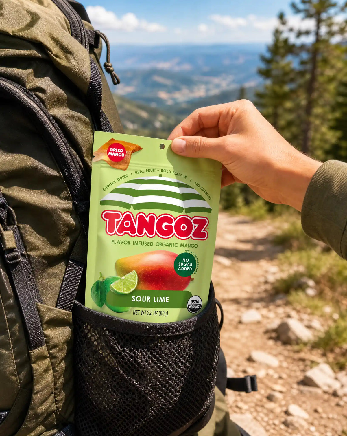 TANGOZ Sour Lime Organic Dried Mango