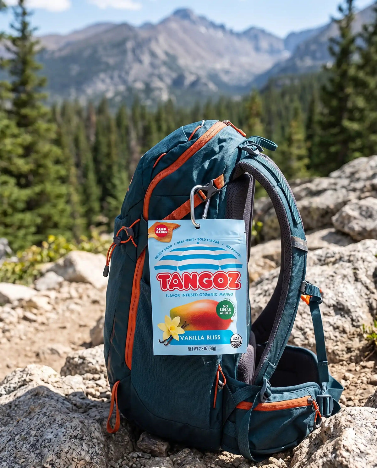 TANGOZ Vanilla Bliss Organic Dried Mango